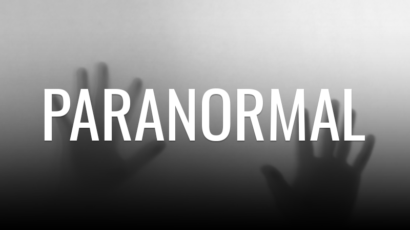 03 Paranormal Investigator 03